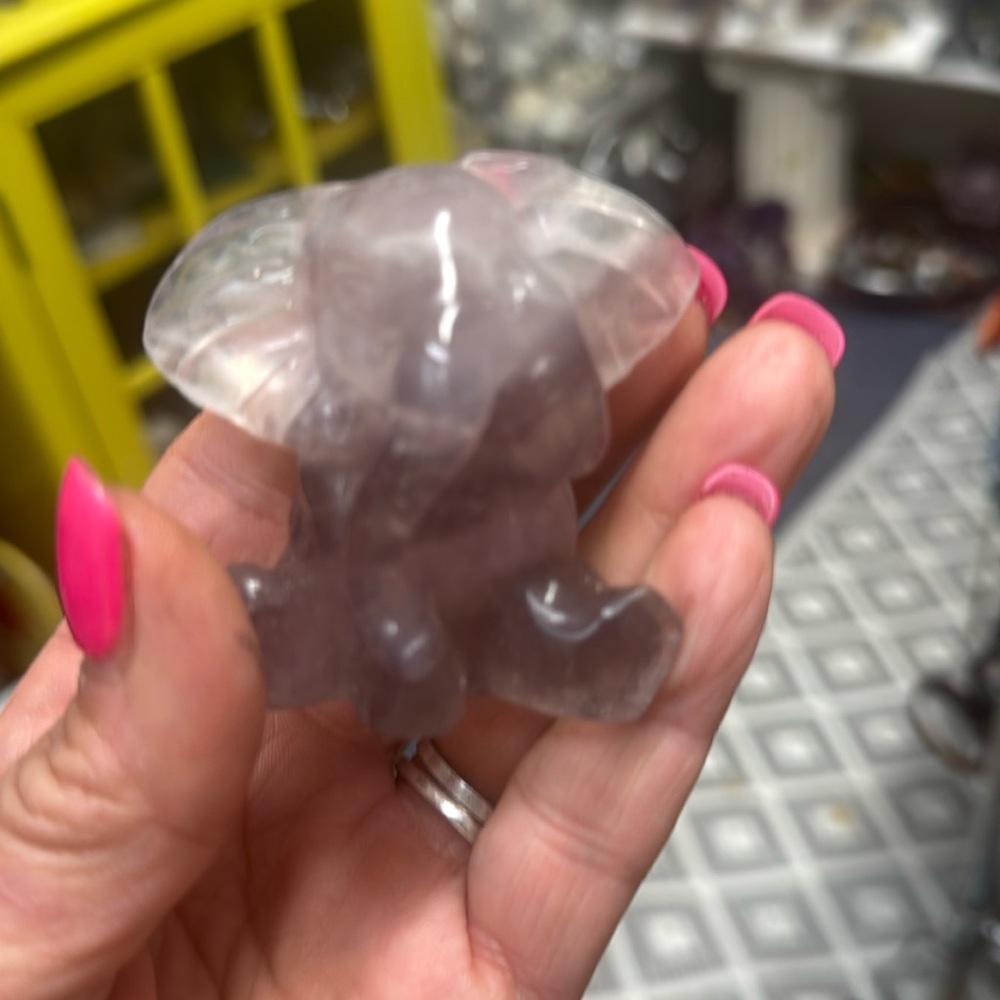 Ring, baby elephant, flu fluoride
